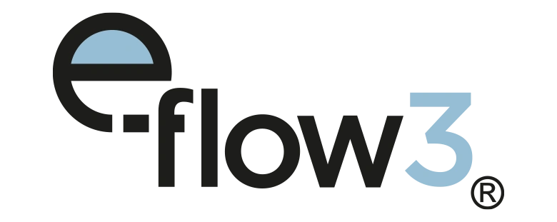 E-Flow BPM