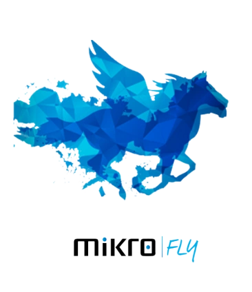 Mikro Fly logosu — E-Ticaret ERP programı